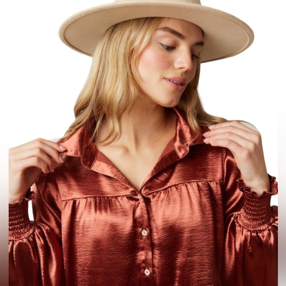 Winter Fall Country Gorgeous Dress w/ Pockets in Bronze NWT - Picture 11 of 12